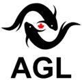 azimi global logistics